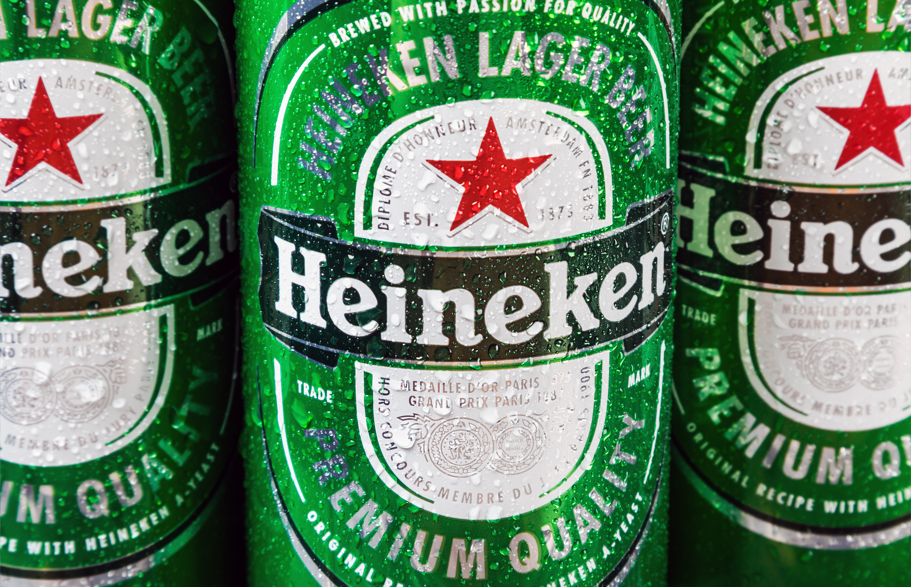 Charlene de Carvalho-Heineken: net worth $15.4 billion (£11.4 billion)